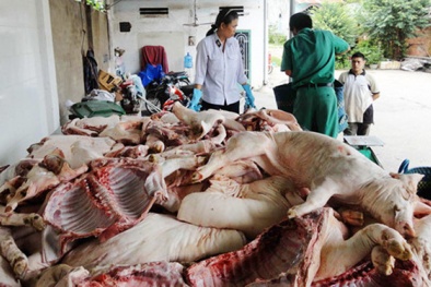 Bệnh thương hàn có nguyên nhân từ 13Win OKVIP Cá cược bóng đá bẩn